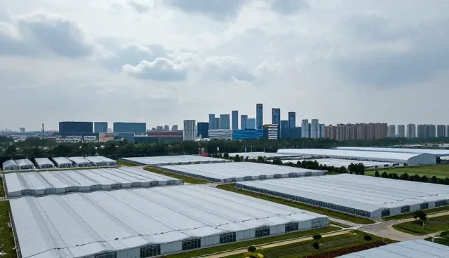 平面项目内容运营中性能优化与适用场景分析